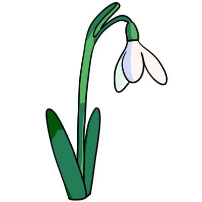 a snowdrop and stem. the colors are crisp and cool.